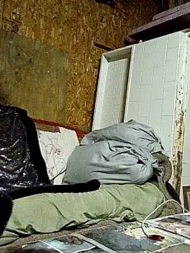 Snapshot of lilbishmiss chatting on October 16, 11:50 pm lilbishmiss online show from October 16, 11:50 pm