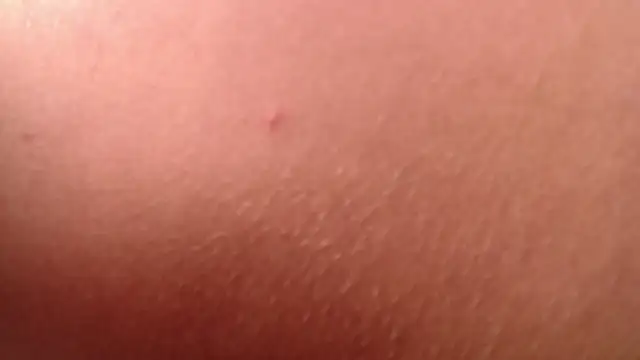 isabella jazz online show from January 7, 4:20 pm