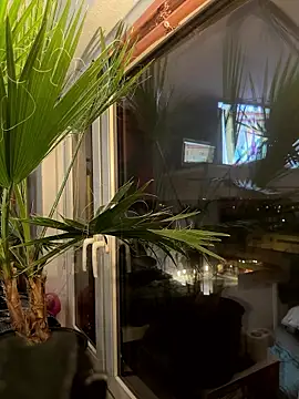 pillepallex84x online show from January 9, 4:54 pm