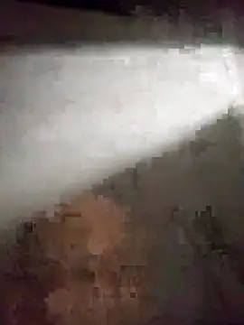 edijavimes online show from February 20, 4:20 am