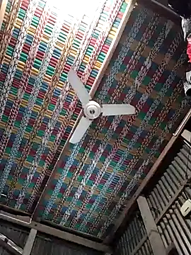 Snapshot of Koyel-Sen chatting on January 22, 7:03 am Koyel-Sen online show from January 22, 7:03 am