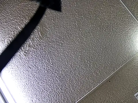 yajahil online show from November 28, 7:38 pm