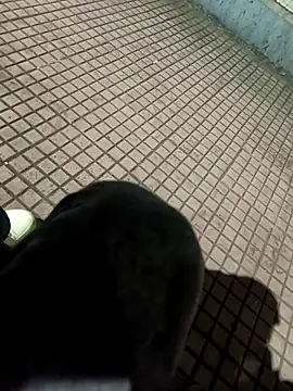 SurjS9 online show from September 20, 3:35 pm