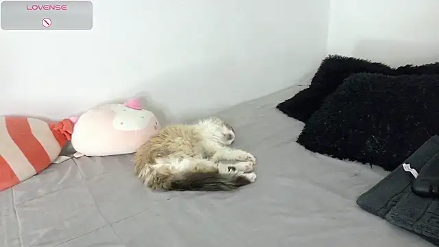 Snapshot of SophieBaker__ chatting on May 2, 2:16 am SophieBaker online show from May 2, 2:16 am