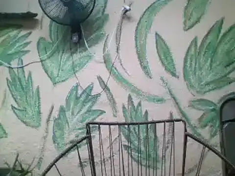 Snapshot of friendsloversex chatting on March 21, 5:02 pm friendsloversex online show from March 21, 5:02 pm