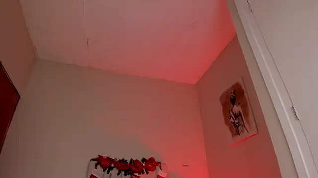 Snapshot of dani_skinny_ chatting on December 27, 6:31 pm dani skinny online show from December 27, 6:31 pm