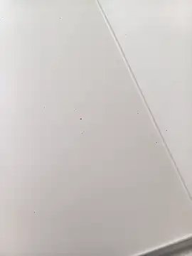 bbferlinaa online show from March 21, 7:50 pm