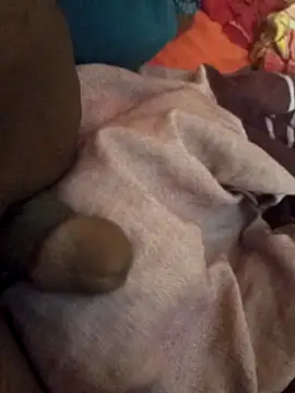 sadunt online show from March 14, 6:52 am