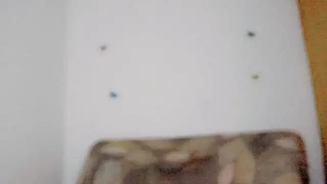 TatiGil online show from April 10, 8:46 pm