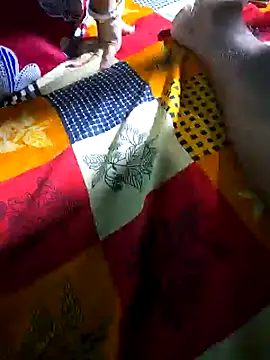 hotbaby 5 online show from January 31, 5:40 am