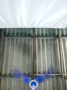 hotbaby 5 online show from November 1, 12:34 am