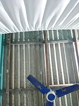 hotbaby 5 online show from November 14, 5:17 am