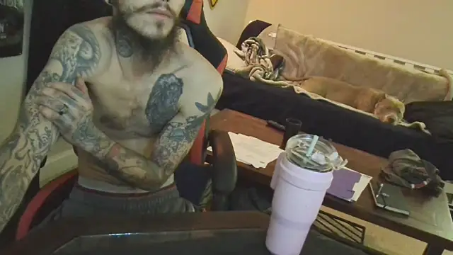 XMeF10 online show from February 26, 1:53 am