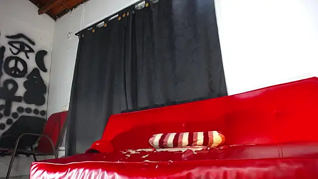 Snapshot of Dexter-T chatting on January 5, 2:17 am Dexter-T online show from January 5, 2:17 am