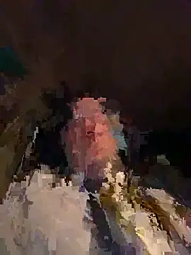 SaneService9 online show from April 8, 7:25 pm