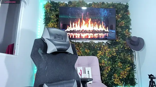 emily palmeer online show from April 15, 8:43 am