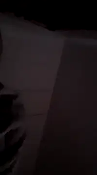 Snapshot of MIGHTY_MAGNUM chatting on December 9, 8:33 am MIGHTY MAGNUM online show from December 9, 8:33 am