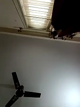 Snapshot of blr_boi chatting on December 3, 6:54 am blr boi online show from December 3, 6:54 am