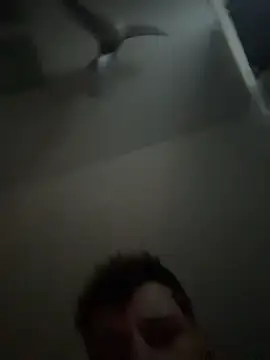 janberlin online show from February 25, 8:02 am