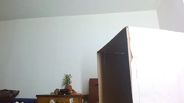 Snapshot of Party_trans chatting on December 14, 10:39 pm Party trans online show from December 14, 10:39 pm