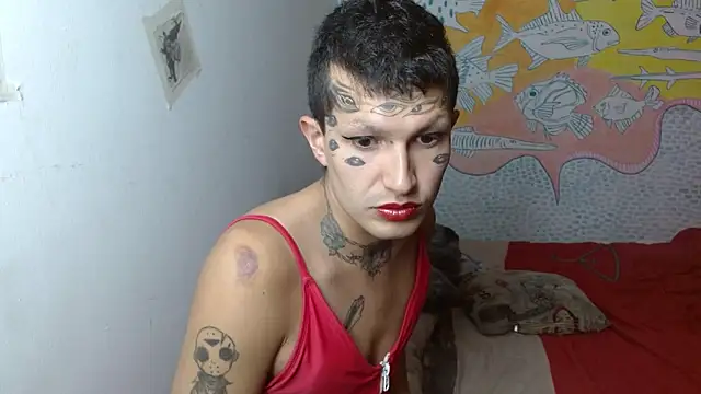 Snapshot of Party_trans chatting on February 10, 6:35 pm Party trans online show from February 10, 6:35 pm