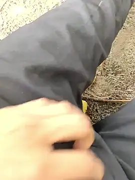 1010SumiT online show from November 1, 5:31 am