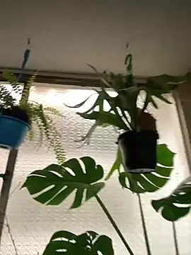 Miss oliviaa online show from March 10, 6:02 pm