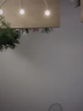 Aryrosee online show from September 12, 11:59 pm