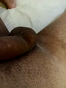 bengala223 online show from October 20, 11:54 am