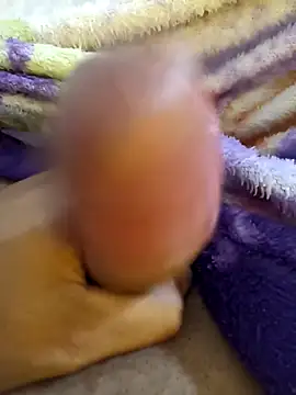 bengala223 online show from December 4, 12:14 pm