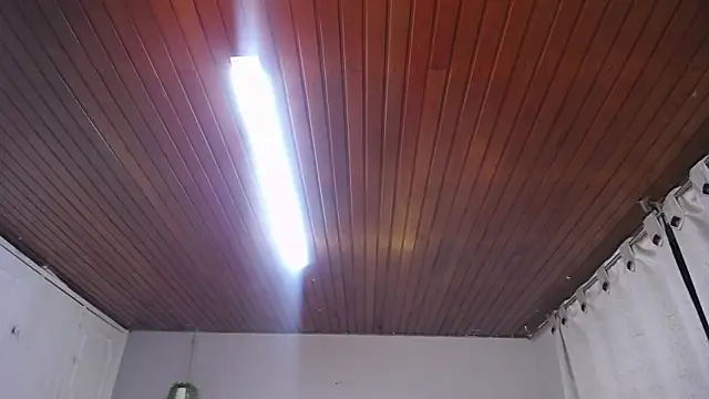 Snapshot of Scarllett_BDSM chatting on November 29, 5:10 am Scarllett BDSM online show from November 29, 5:10 am