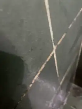 gzn01 online show from October 28, 4:49 am