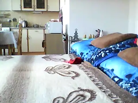 Snapshot of Lisak951 chatting on December 11, 9:30 am Lisak951 online show from December 11, 9:30 am