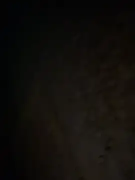 Snapshot of tripexnte chatting on February 20, 6:39 am tripexnte online show from February 20, 6:39 am