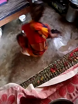 poojaji2024 online show from December 4, 4:54 am