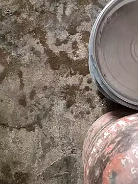 poojaji2024 online show from February 19, 5:38 am