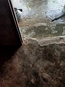 poojaji2024 online show from February 21, 5:35 am