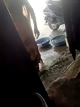 poojaji2024 online show from March 16, 4:41 am