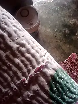 poojaji2024 online show from March 23, 5:54 am