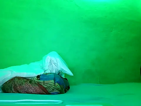 Snapshot of ruygw chatting on February 4, 8:13 am ruygw online show from February 4, 8:13 am