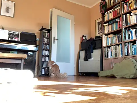 Bula94193 online show from March 16, 9:13 am