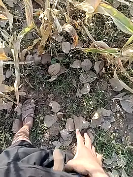 Piyush 2024 online show from March 11, 1:55 am