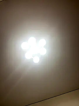 Janet Welder online show from December 5, 12:30 am