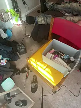 torilux online show from January 23, 1:56 pm