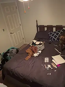 torilux online show from February 8, 11:34 pm