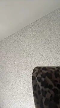 torilux online show from February 22, 2:52 pm