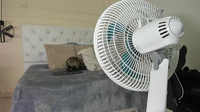 Snapshot of Slut_Milf_ chatting on January 23, 10:44 pm Slut Milf  online show from January 23, 10:44 pm