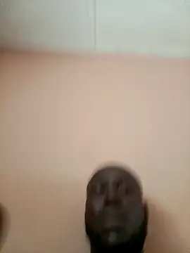 Landlordlandlord12 online show from March 25, 2:34 pm