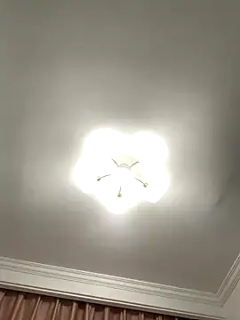 Aimeil online show from November 27, 7:05 pm