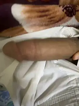 Snapshot of hamed-697 chatting on December 8, 8:25 pm hamed-697 online show from December 8, 8:25 pm